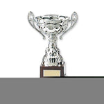 MAR-312 | Silver Plated Metal Trophy - quality-martial-arts